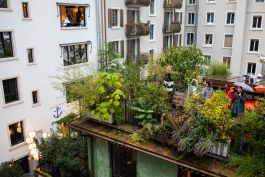 burkhard & fata farbgestaltung