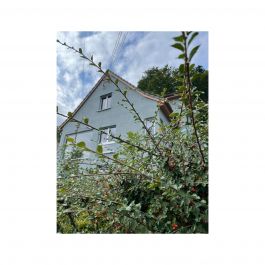 burkhard & fata farbgestaltung